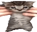 31getfunky Discord emoji