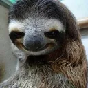 hehe4slothcreepy