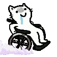 497147590865846272