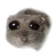 Sad