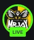 live_jay