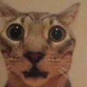 shock