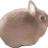postthiscatwhentheyleastexpectit