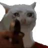 Kill