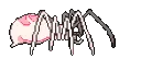 Pink_spider