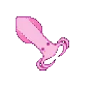 Squid_swims