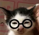 nerd nerd