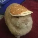 pancake