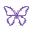 DButterfly5