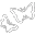 DButterfly6