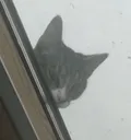 Kumi_Peek
