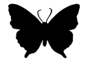 :B_BlackButterfly: