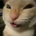hehe hehe