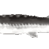 Joel Discord emoji