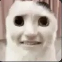 nyahh