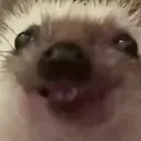 emoji_66