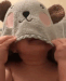 nxt_sammy