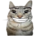 :cat_smirk: