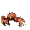 crabdance
