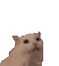 cute_cat_CatScreamHearts