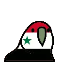 syriaParrot