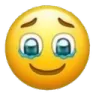 cryingface