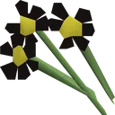 black
