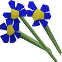 blue
