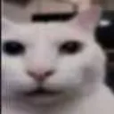 uh