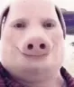 pigman