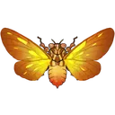 Spitfire_Cicada
