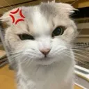 emoji_12