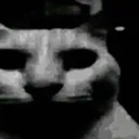 cat_dark