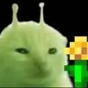 bugcore