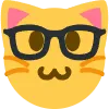 nerdcat
