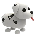 am_Dalmation