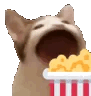 catbopcorn
