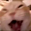 car_lmaoooo_lowres car_lmaoooo_lowres