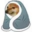 CozyDoge