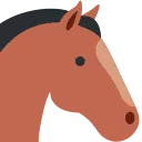 horse2 horse2