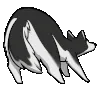 ArckyDance