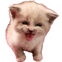 cathiss Discord emoji