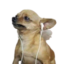dogmusiclisten Discord emoji