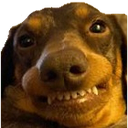 dogteefsmile Discord emoji