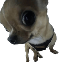 dogayoooo Discord emoji