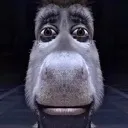 donki donki