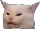 catwhat