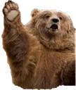 :bear_wave1: