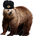 A brown bear wearing a black winter hat with a small emblem on the front.