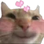 catblush